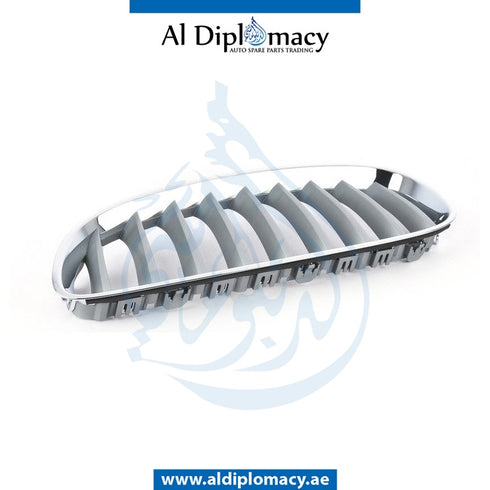 Left SHOW GRILLE for Z4 SERIES 2012-2017 models, Part Number 51137181547